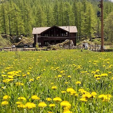Chalet Rosa Dei Monti Piamprato Екстериор снимка