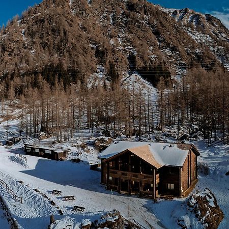 Chalet Rosa Dei Monti Piamprato Екстериор снимка