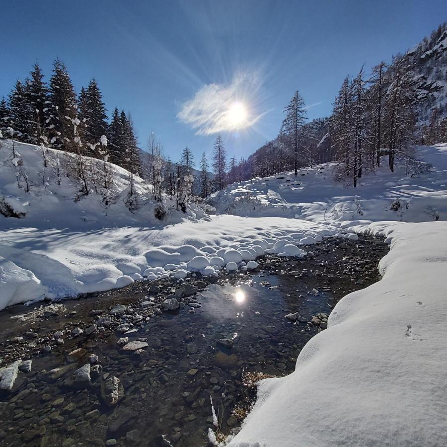 Chalet Rosa Dei Monti Piamprato Екстериор снимка