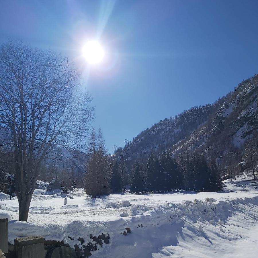 Chalet Rosa Dei Monti Piamprato Екстериор снимка