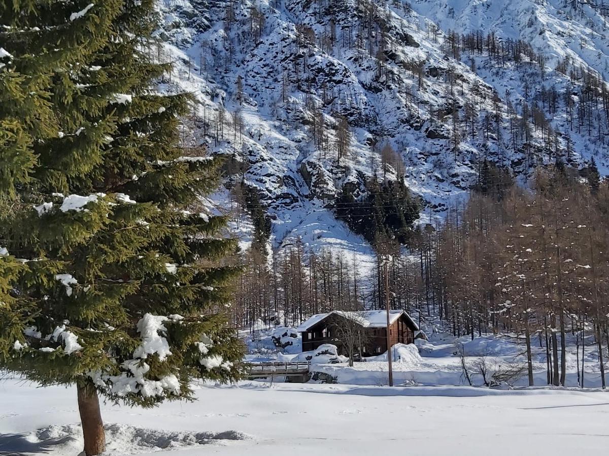 Chalet Rosa Dei Monti Piamprato Екстериор снимка