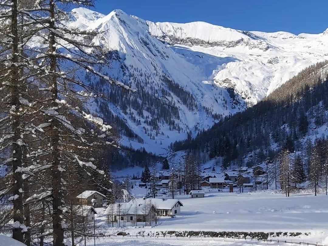 Chalet Rosa Dei Monti Piamprato Екстериор снимка