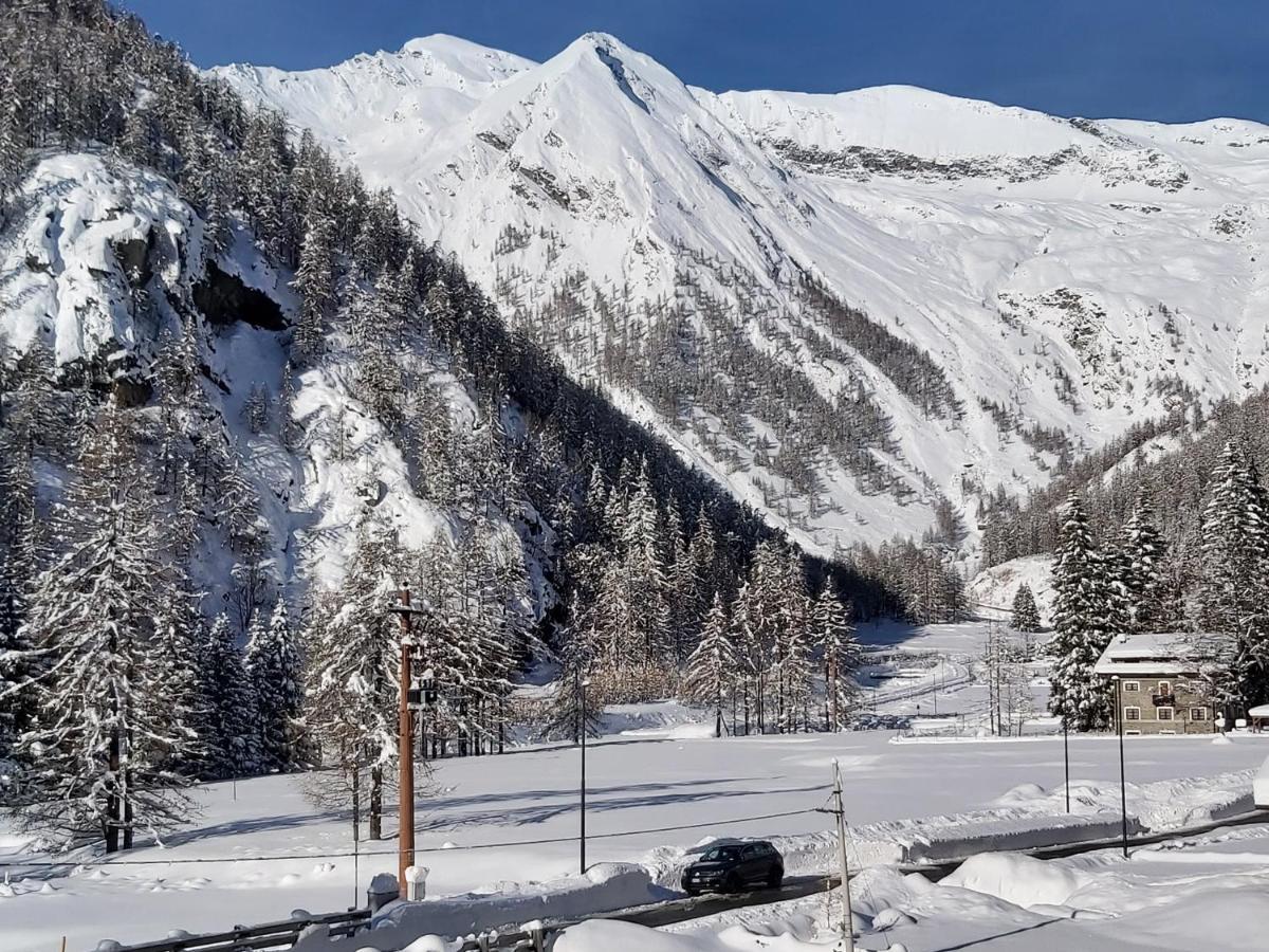 Chalet Rosa Dei Monti Piamprato Екстериор снимка