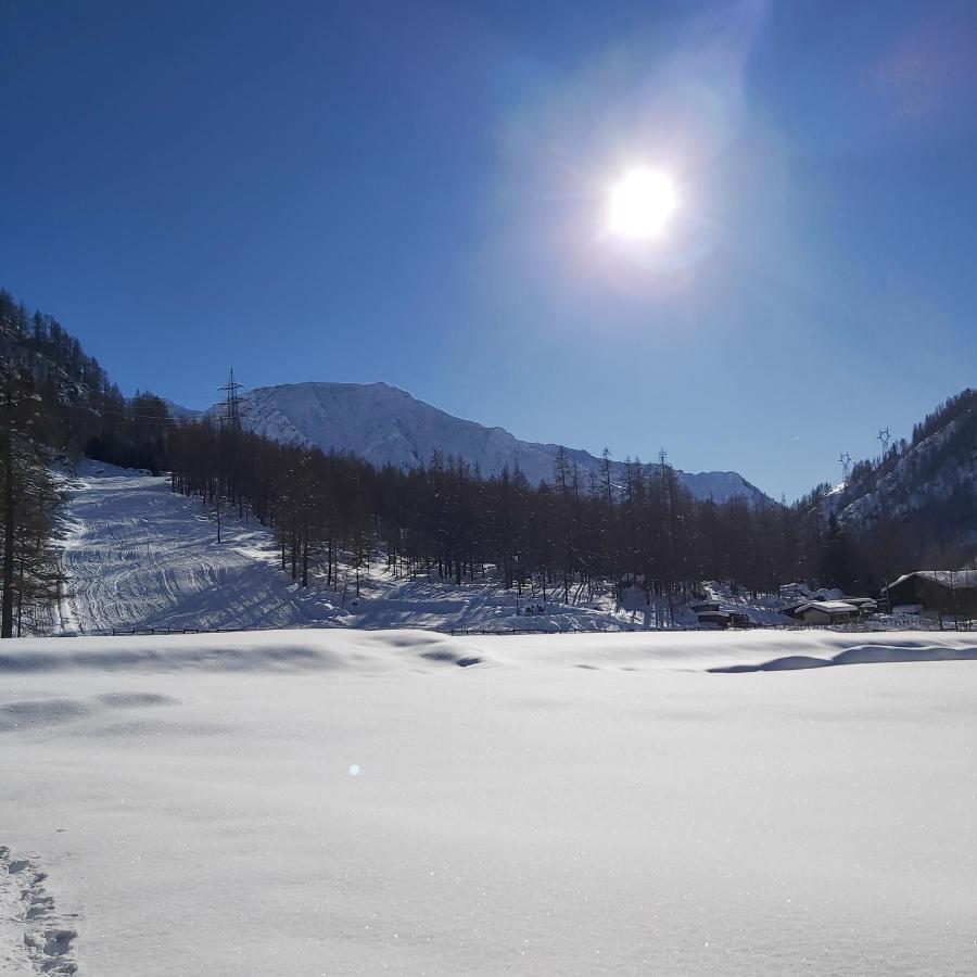 Chalet Rosa Dei Monti Piamprato Екстериор снимка