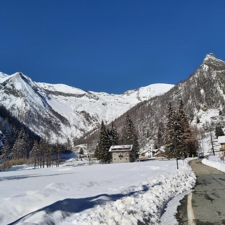 Chalet Rosa Dei Monti Piamprato Екстериор снимка