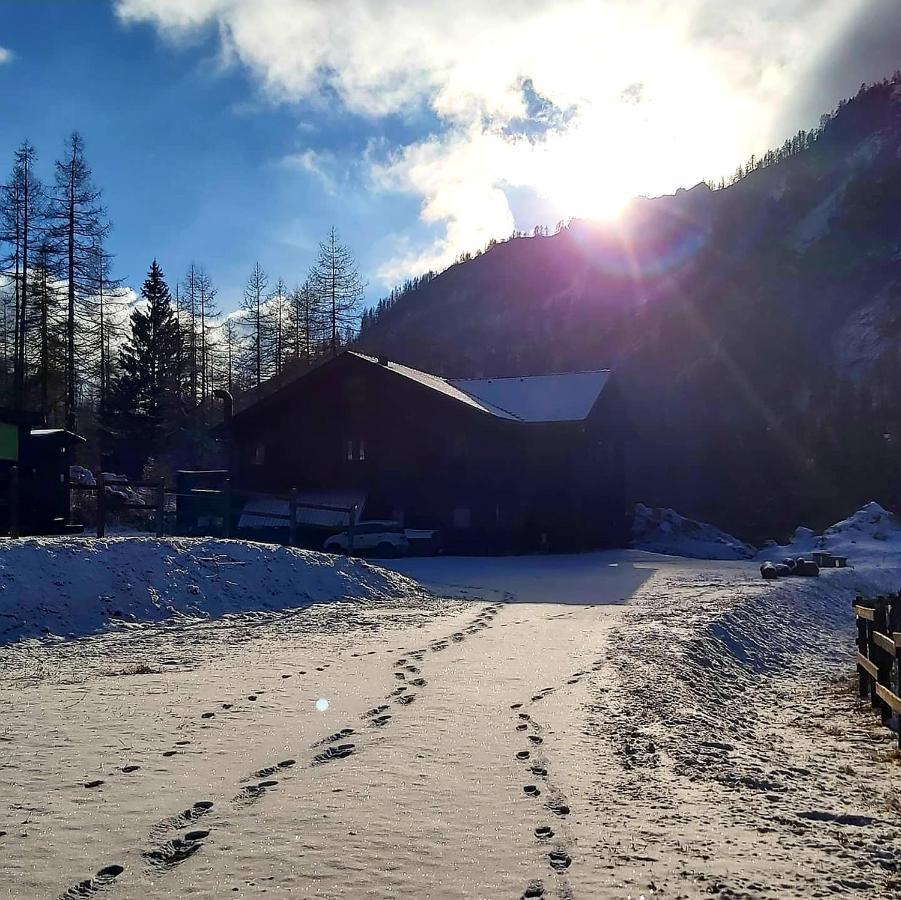 Chalet Rosa Dei Monti Piamprato Екстериор снимка