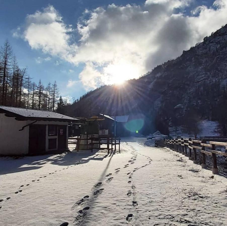 Chalet Rosa Dei Monti Piamprato Екстериор снимка