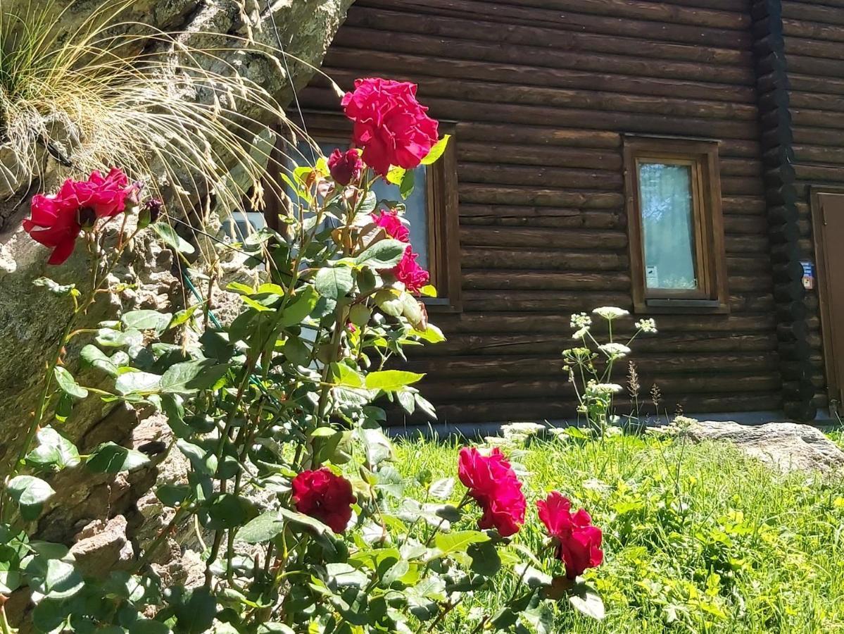 Chalet Rosa Dei Monti Piamprato Екстериор снимка
