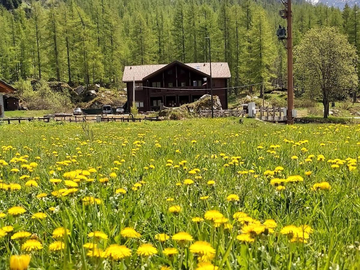 Chalet Rosa Dei Monti Piamprato Екстериор снимка