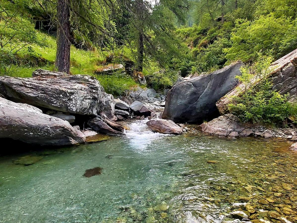 Chalet Rosa Dei Monti Piamprato Екстериор снимка