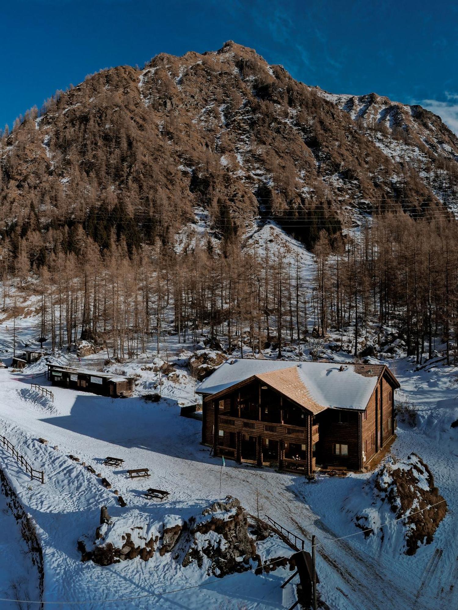 Chalet Rosa Dei Monti Piamprato Екстериор снимка