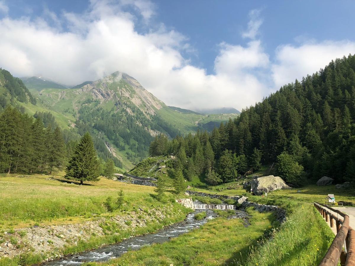 Chalet Rosa Dei Monti Piamprato Екстериор снимка