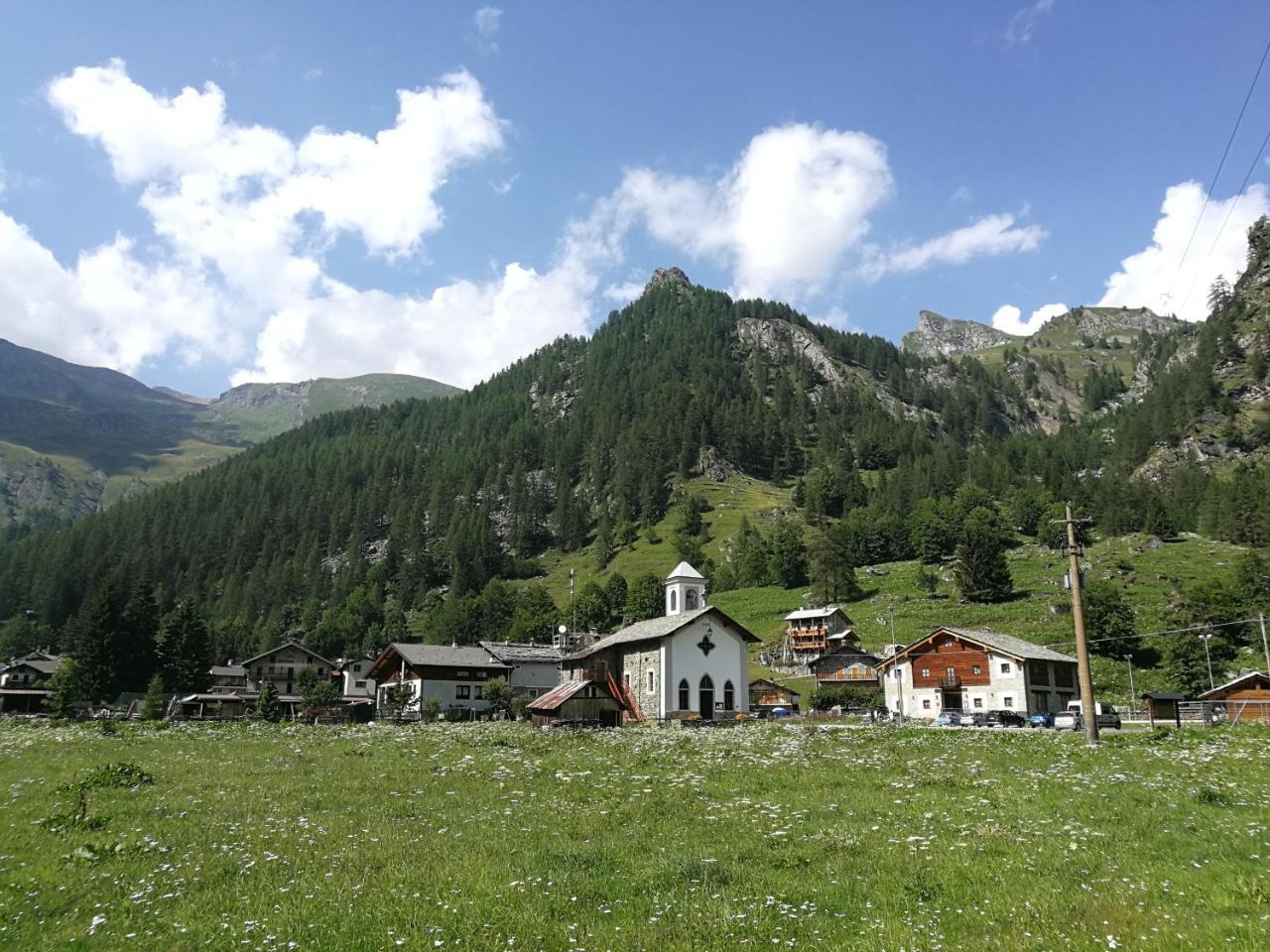 Chalet Rosa Dei Monti Piamprato Екстериор снимка