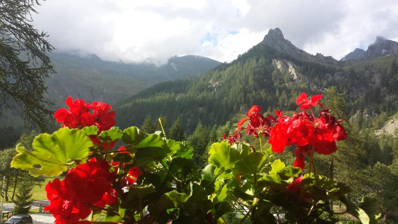 Chalet Rosa Dei Monti Piamprato Екстериор снимка