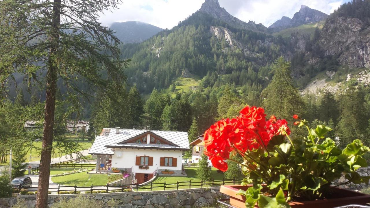 Chalet Rosa Dei Monti Piamprato Екстериор снимка