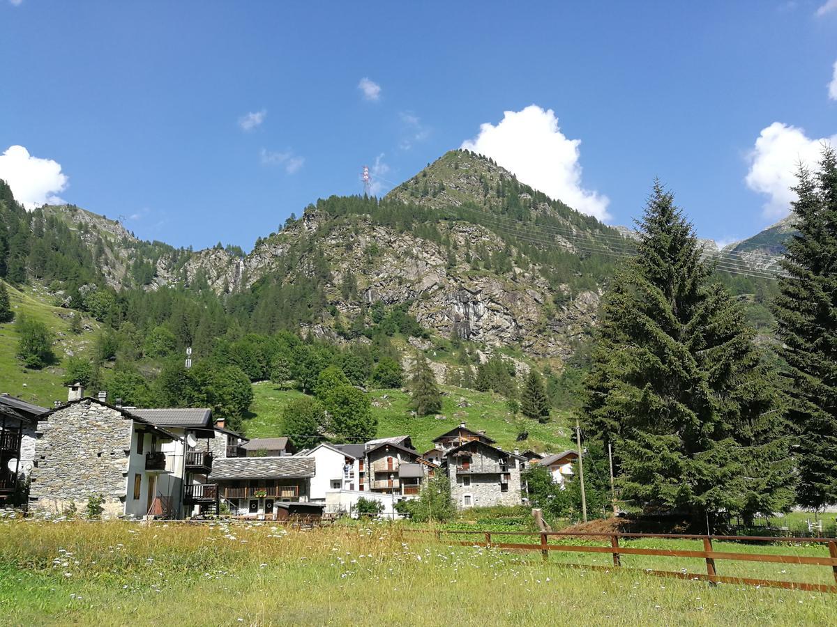 Chalet Rosa Dei Monti Piamprato Екстериор снимка