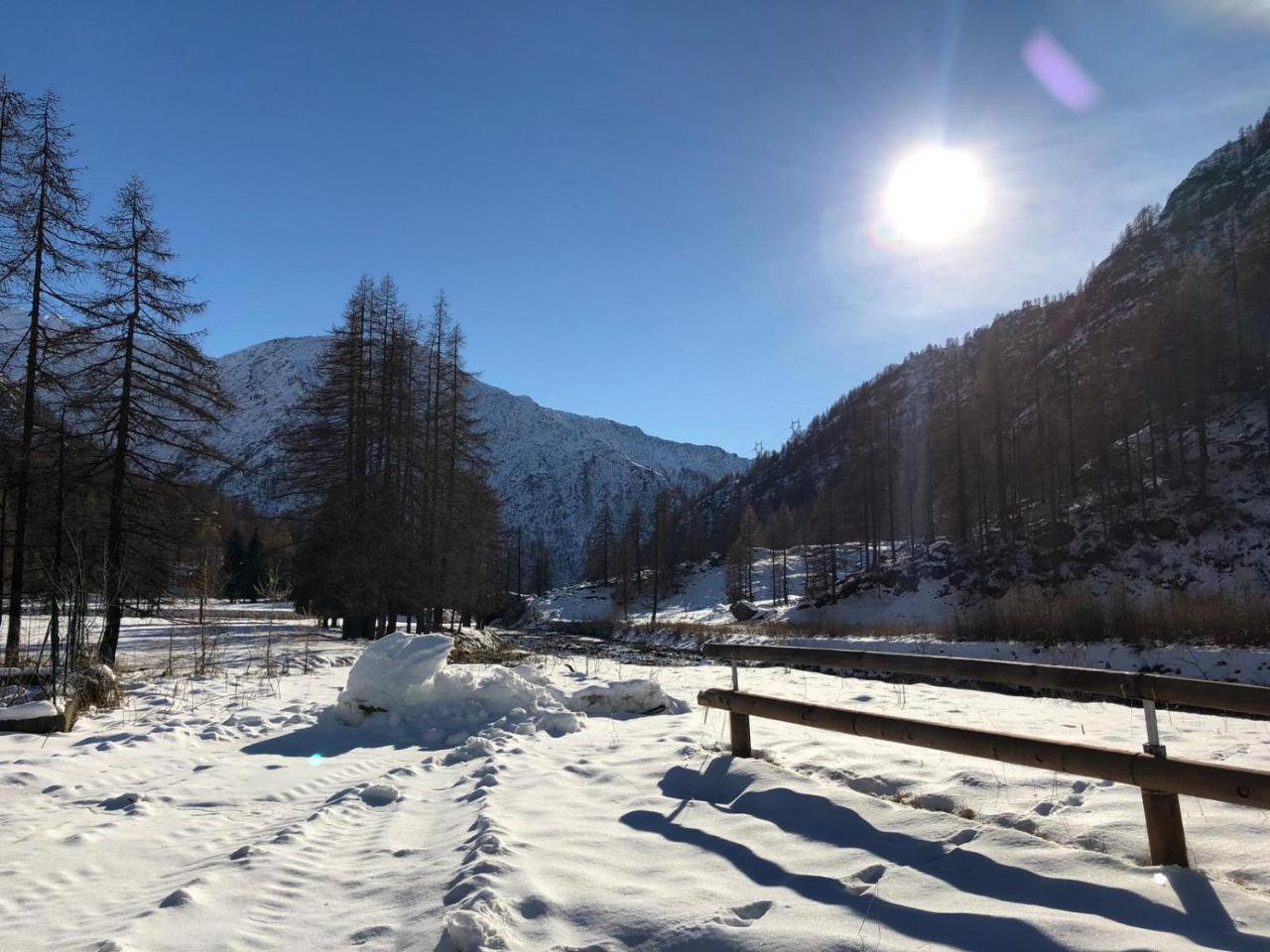 Chalet Rosa Dei Monti Piamprato Екстериор снимка