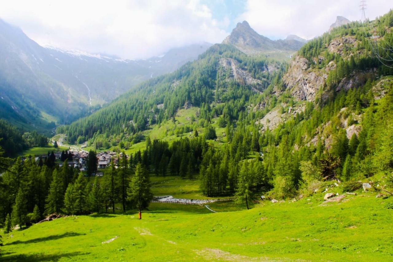 Chalet Rosa Dei Monti Piamprato Екстериор снимка