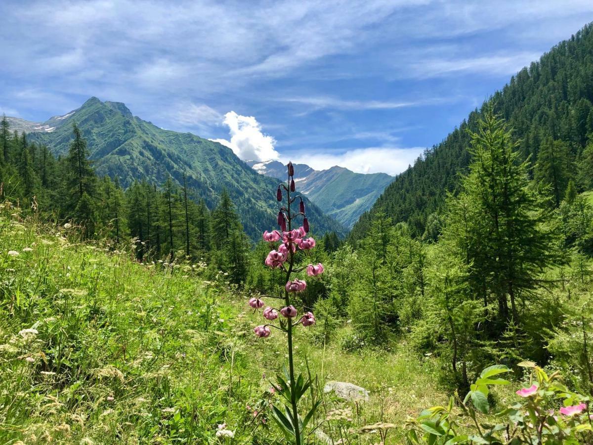 Chalet Rosa Dei Monti Piamprato Екстериор снимка