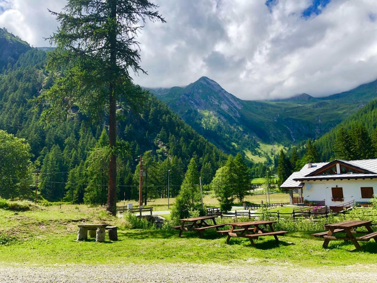 Chalet Rosa Dei Monti Piamprato Екстериор снимка